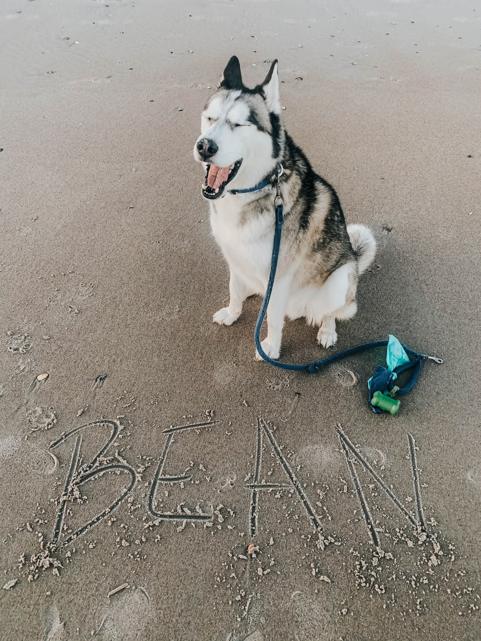 Thanksgiving At The Beach