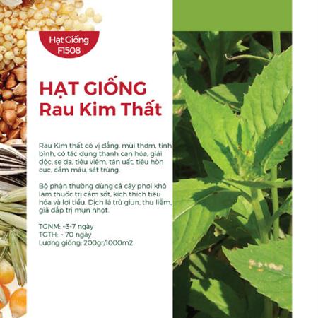 Hạt giống rau Kim Thất 817AQ - Tàu bay, Cải trời