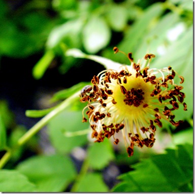 P7060043