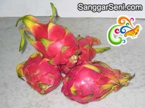 Sanggar Seni com How to eat a Dragon Fruit