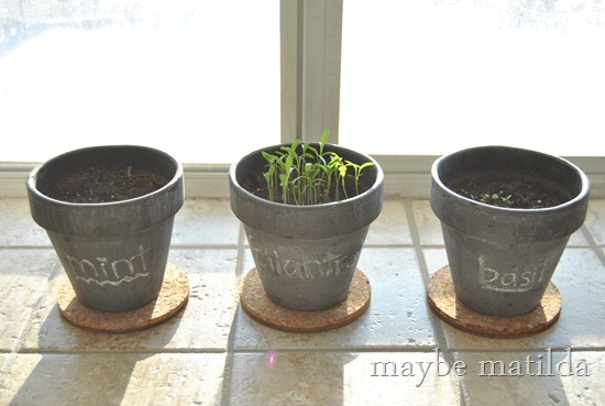 DIY Chalkboard Herb Pots