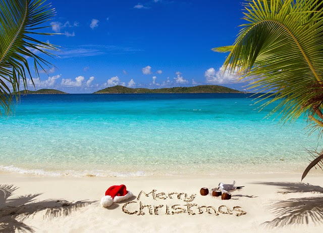 tropical christmas hd wallpapers by hd wallpapers blog which provides ...