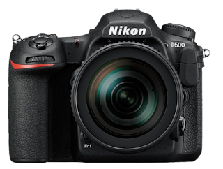 Best DSLR camera 2019: 10 great cameras to suit all budgets