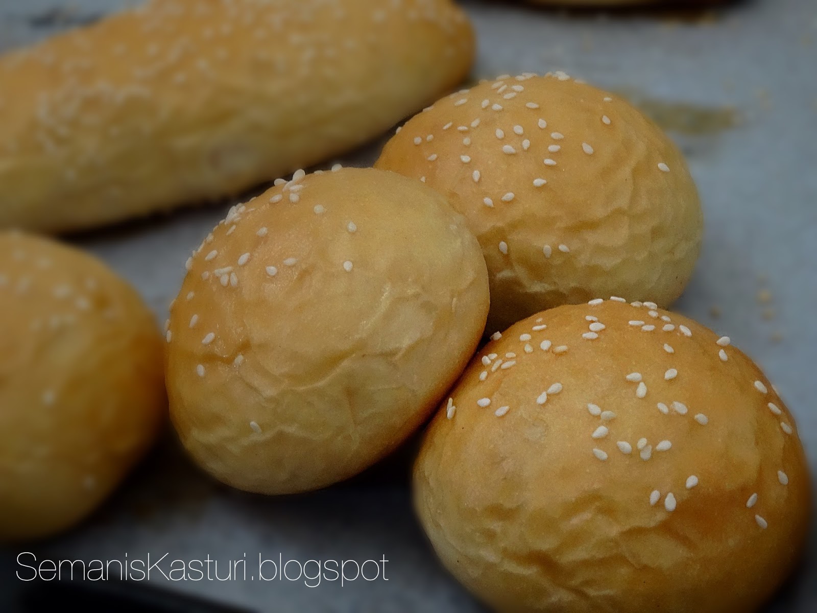 BUN YANG LEMBUT DAN GEBU ~ Swesia's Journey