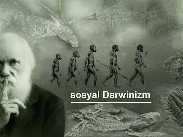 sosyal Darwinizm