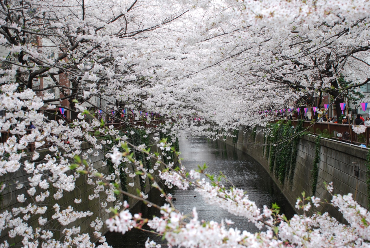 Pemandangan Indah Di Jepang Foto Dunia Alam Semesta INDONESIA