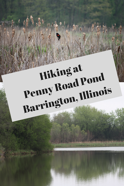 Hiking at Penny Road Pond in Barrington, Illinois