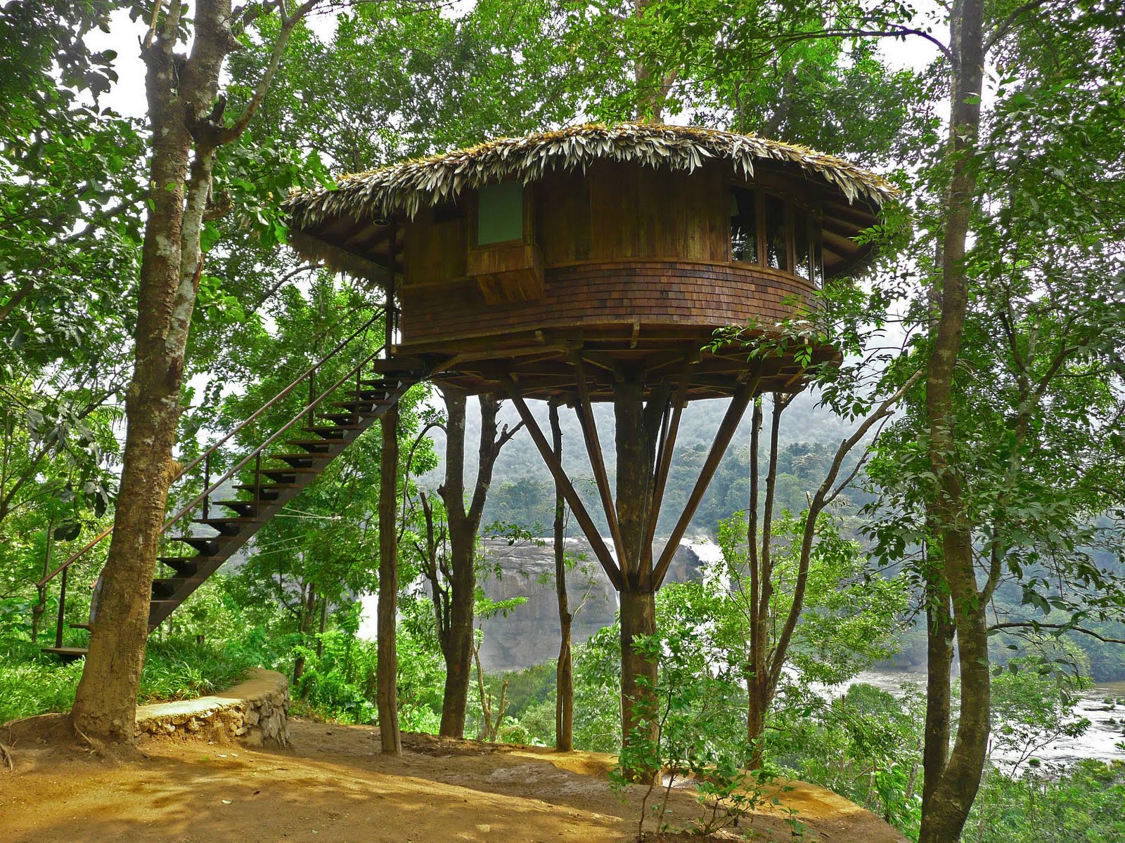 Beautiful Tree House