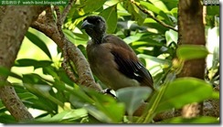 20150811_131018_200_JinSan