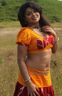 hot-actress-swathi-verma-hot-navel-photo