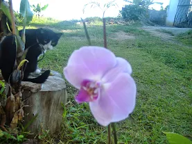 Fotografía