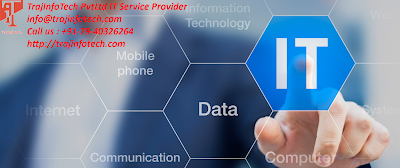 Information Technology Service - Traj InfoTech