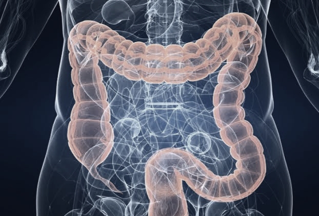 Importance Of Colon Cleansing