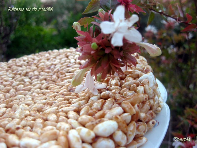 http://iciailleursetcesoir.over-blog.com/article-gateau-au-riz-souffle-57030565.html