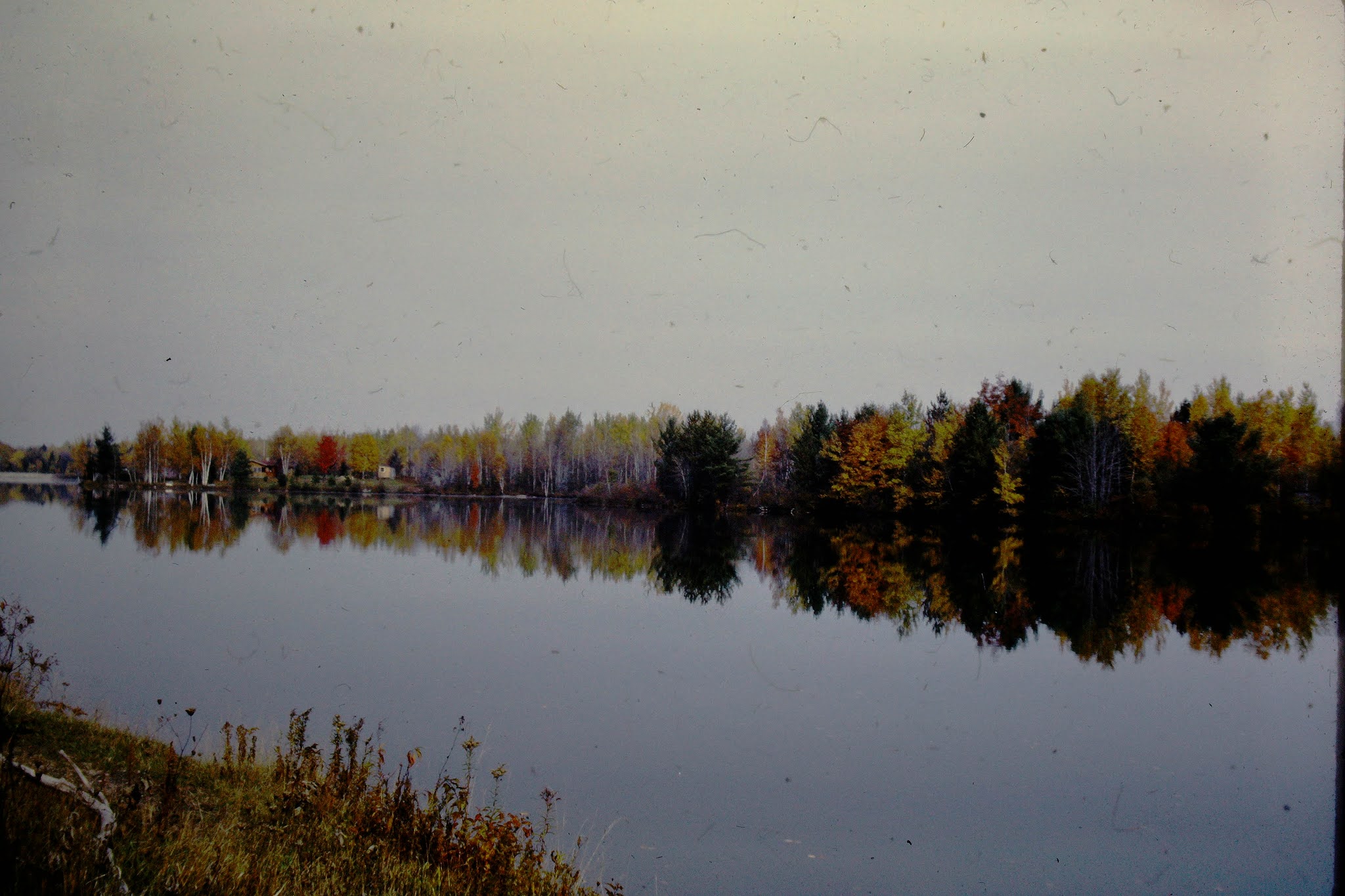 Autumn Michigan 1962