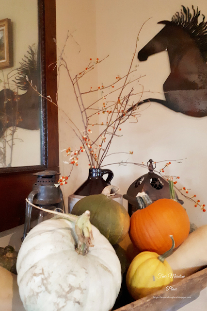 Fall Vignettes