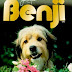 Vem aí um novo filme do cão Benji