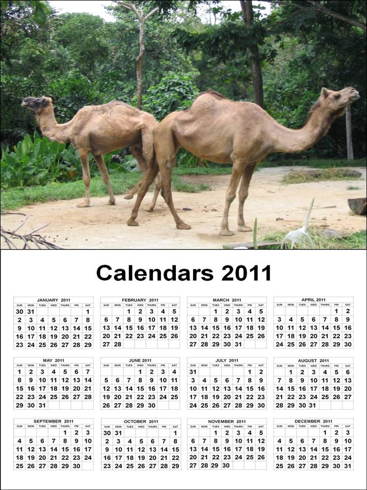 yearly calendar 2012 printable. calendar 2011, calendar 2012