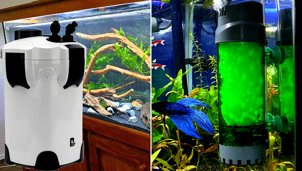 Benefits of Multiple Aquarium Filters (Pros & Cons)