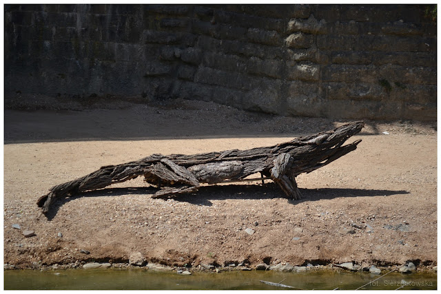 Florencja - Włochy - drewniane zoo nad rzeką Arno