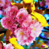 Gambar Wallpaper Bunga Cantik Indah Caption Instagram