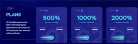 Инвестиционные планы CryptoRoad 2