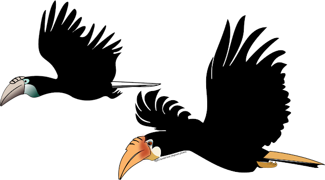 vector drawing of blyth's hornbill