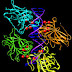 CANCER HAPPENS WHEN MUTATION IN THE DNA OF CELLS.