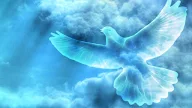 Kekayaan Orang Terpilih Berdasarkan Efesus 1:3-14