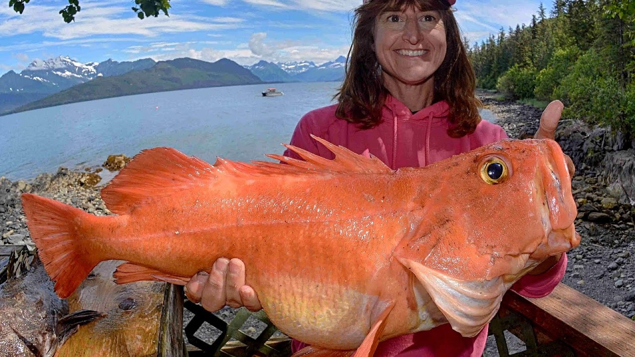 Best Fishing Lodges In Alaska
