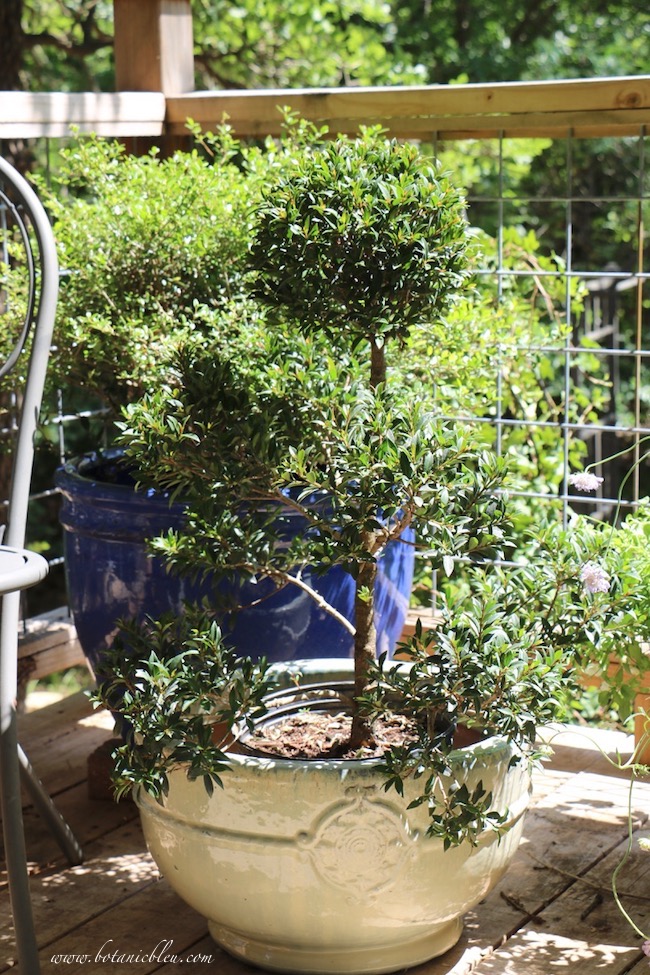 diy tipped wheelbarrow planter - the honeycomb home