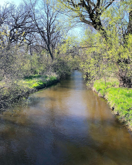 Tyler Creek gently flows through the woodlands of Eagles Forest Preserve in Elgin, Illinois.