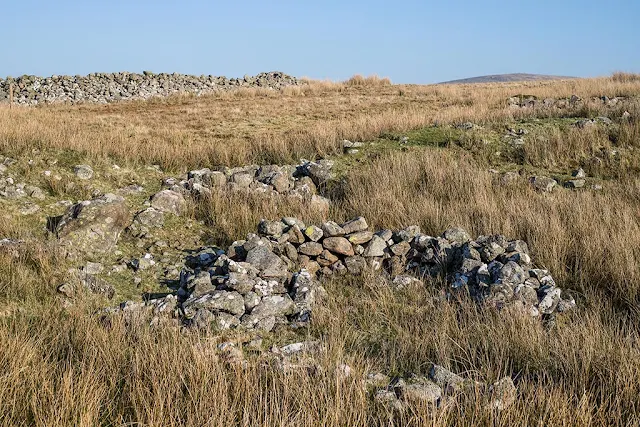 Tongue How, Bronze Age Settlement