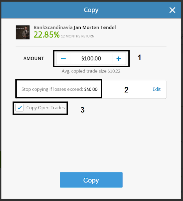 Add the amount of money you want to invest once you click copy you must be patient if you want to make money from home with Etoro