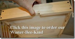 winterbeekindclick