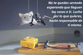 Frases de Motivación