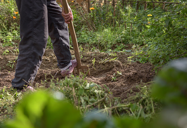 Gardening digging