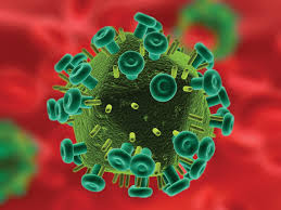 virus hiv