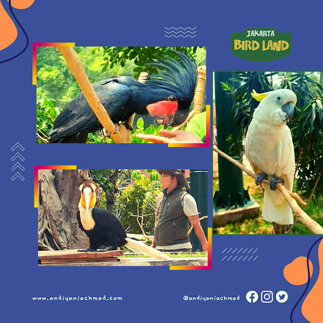 Jakarta Bird Land Ancol