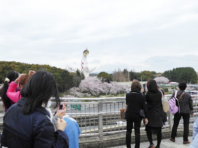 万博記念公園桜まつり 太陽の塔