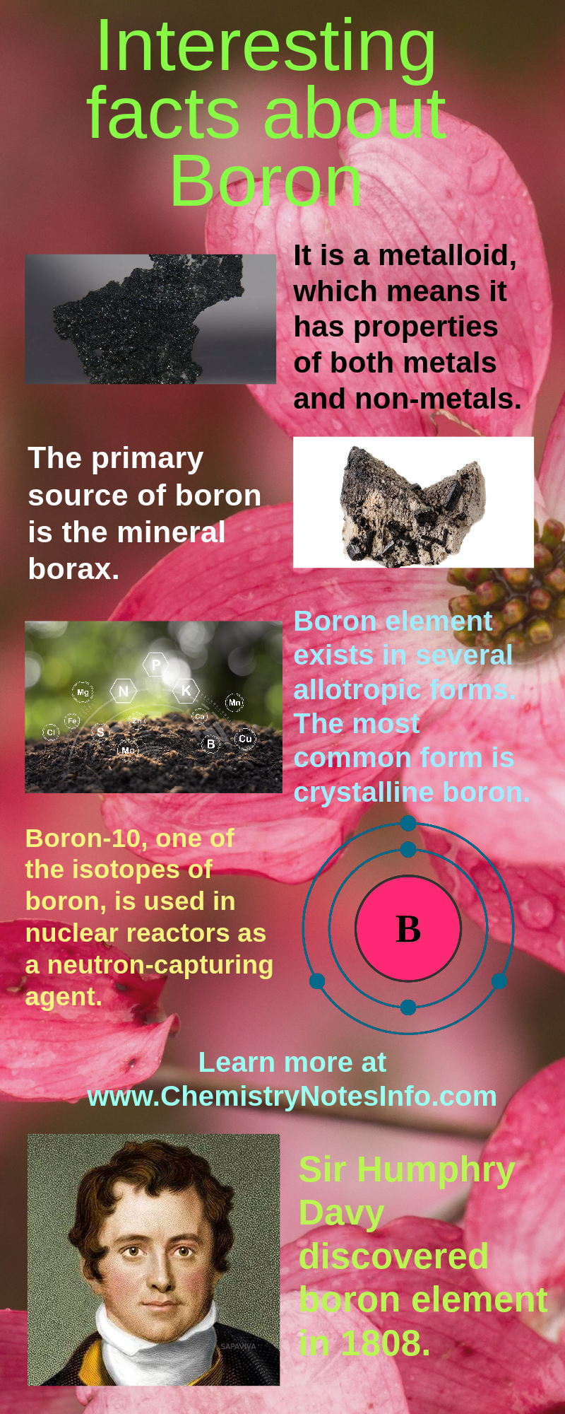 Infographics on Interesting Facts about Boron