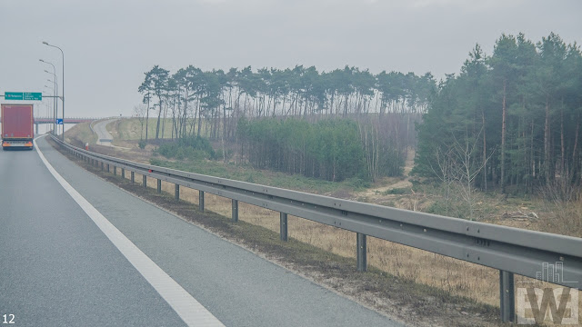 Wycinka drzew pomiędzy Szubinem a Bydgoszczą