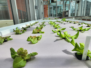 Greenleaf, a local medical cannabis producer, donated eight hydroponic grow tables to Reynolds horticulture program at The Kitchens. 2