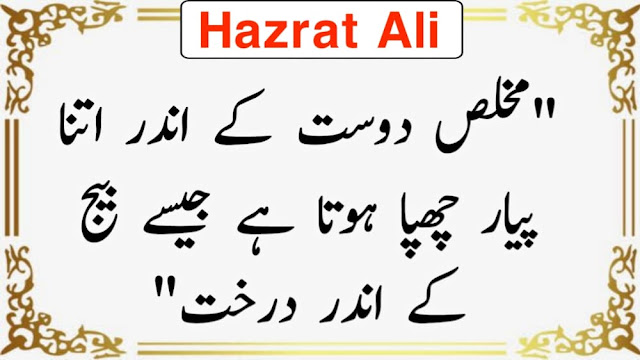 Hazrat Ali Aqwal In Urdu