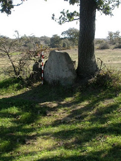 MENHIR / Anta do Cerejeiro, Castelo de Vide, Portugal