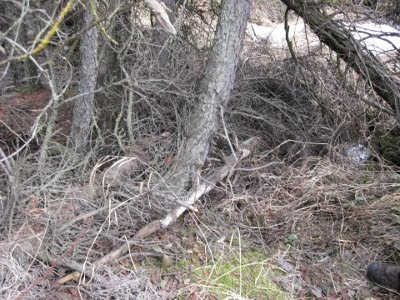 A picture of the hidden Jody Wirawan memorial geocache.