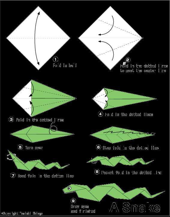 Berbagai Jenis Origami  Binatang Kerajinan  Tangan Lipat 