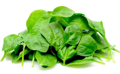 Spinach Leaves