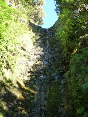 P1040080