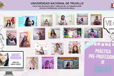 PRÁCTICA PRE PROFESIONAL III – GRUPO B